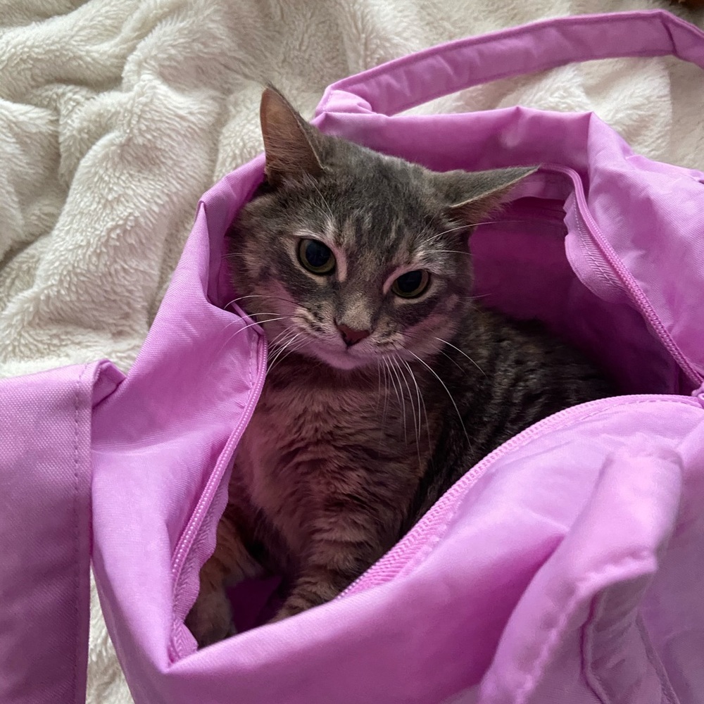 Meet your Posher, Timberlene